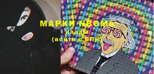 хмурый Снежногорск
