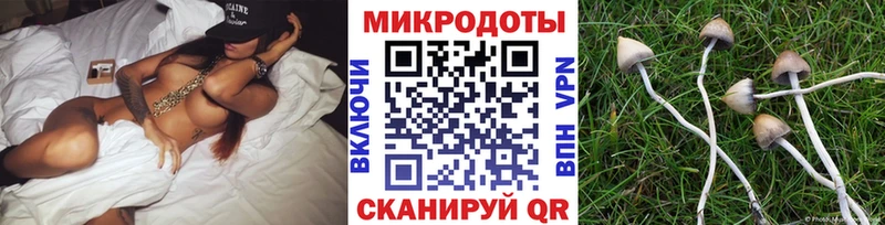 купить наркотик Зеленодольск Псилоцибиновые грибы GOLDEN TEACHER